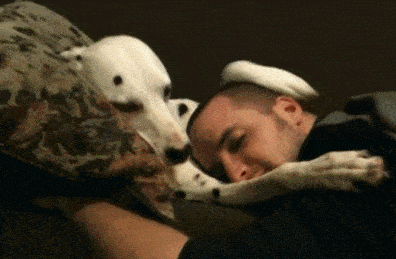 吃瓜娱乐图片搞笑版,搞笑版吃瓜娱乐图集大赏  第1张